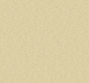 1/28Nm 72% Merino Wool 28% Recycled Nylon