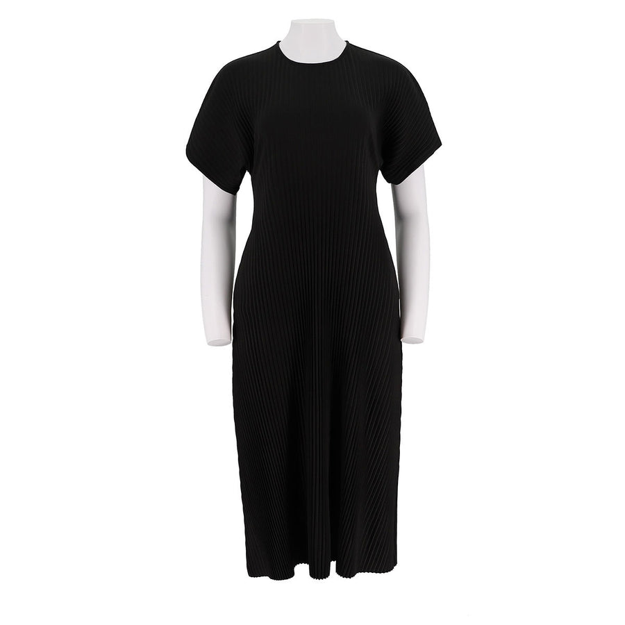 Pleated Dress Long Skirt