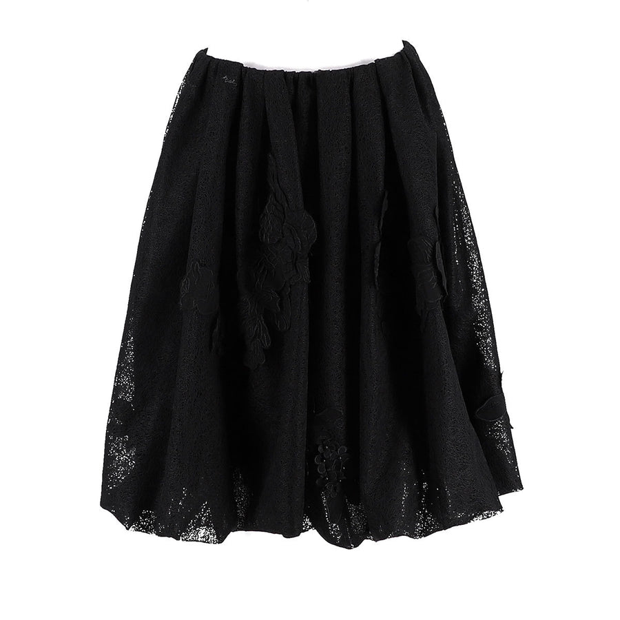 Lace A-Line Skirt With Floral Embroidery